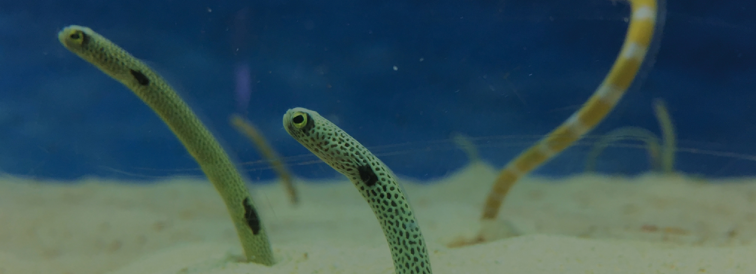 ニューグロリア大分ホテル