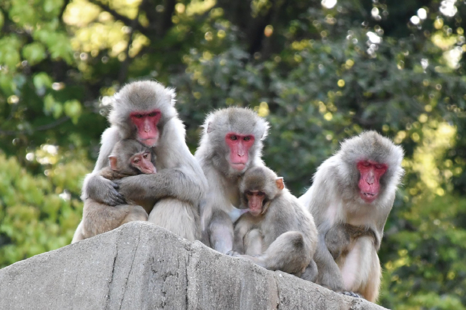 ニューグロリア大分ホテル