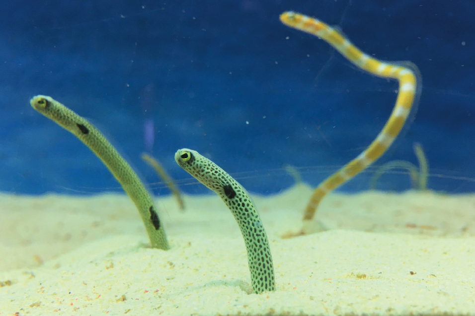 ニューグロリア大分ホテル