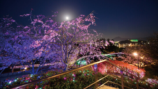 絶景の宿 さくら亭